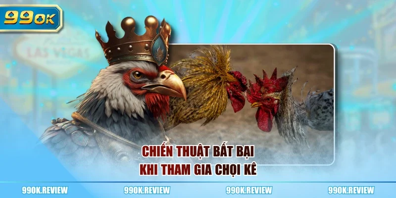 Chiến thuật bất bại khi tham gia chọi kê