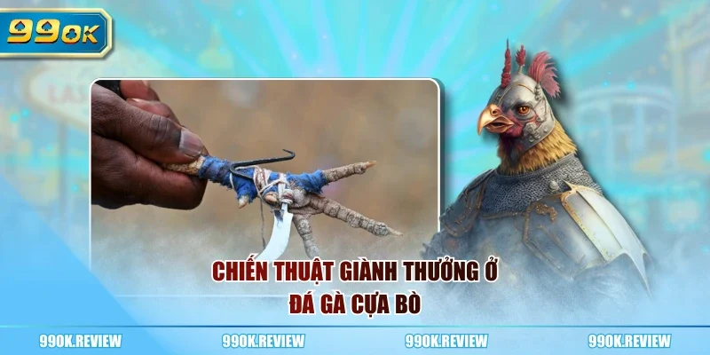 Chiến thuật giành thưởng ở đá gà cựa bò