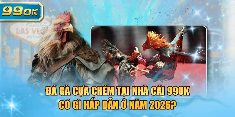 đá gà cựa chém