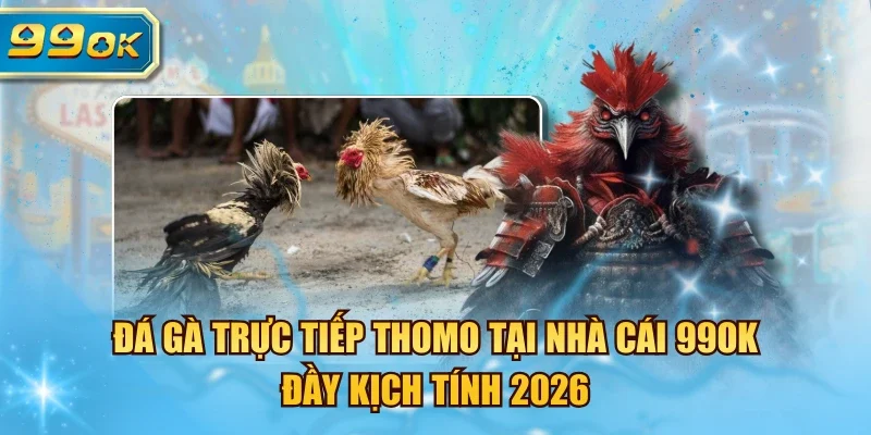 đá gà trực tiếp Thomo