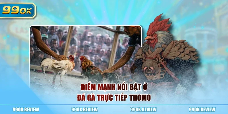 Điểm mạnh nổi bật ở đá gà trực tiếp Thomo