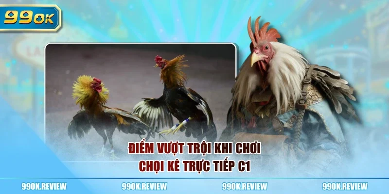 Điểm vượt trội khi chơi chọi kê trực tiếp C1