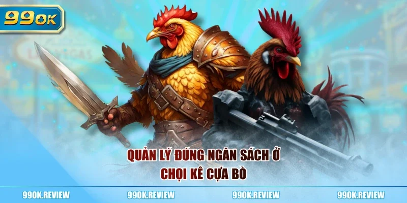 Quản lý đúng ngân sách ở chọi kê cựa bò