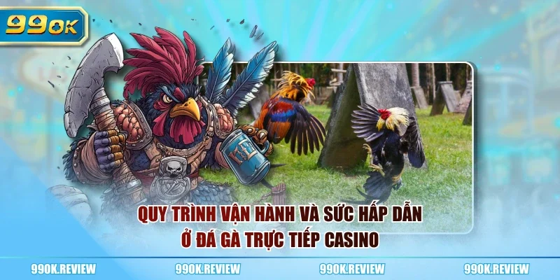 Quy trình vận hành và sức hấp dẫn ở đá gà trực tiếp casino