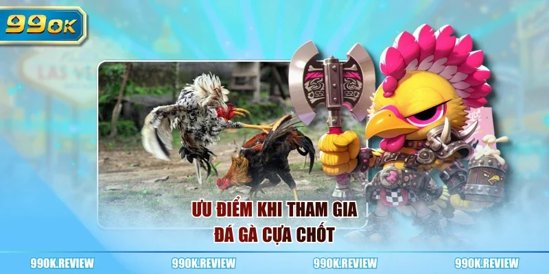 Ưu điểm khi tham gia đá gà cựa chốt