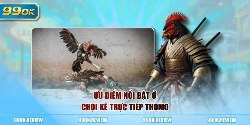 Ưu điểm nổi bật ở chọi kê trực tiếp Thomo